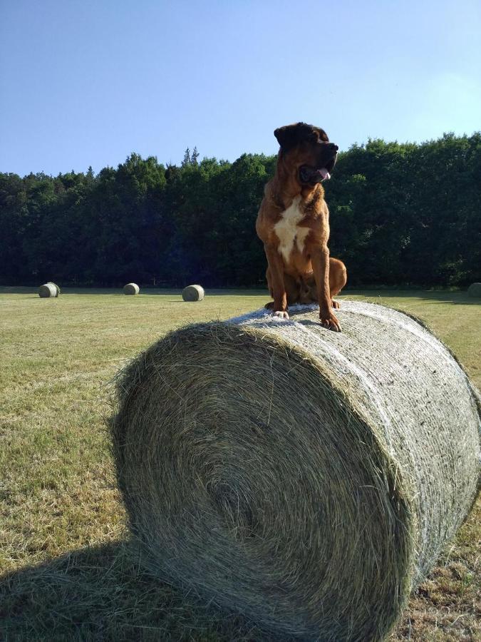 Chumecky Mlyn Stryckovice Dış mekan fotoğraf